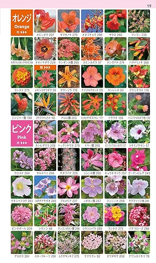 沖縄の身近な植物図鑑: 亜熱帯の雑草から庭の花、森の樹木やシダまで1000種(著者サイン付き)