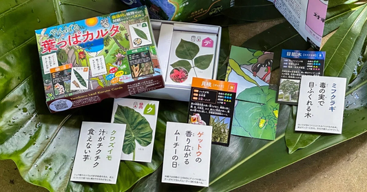 沖縄やんばる葉っぱカルタ(送料無料)