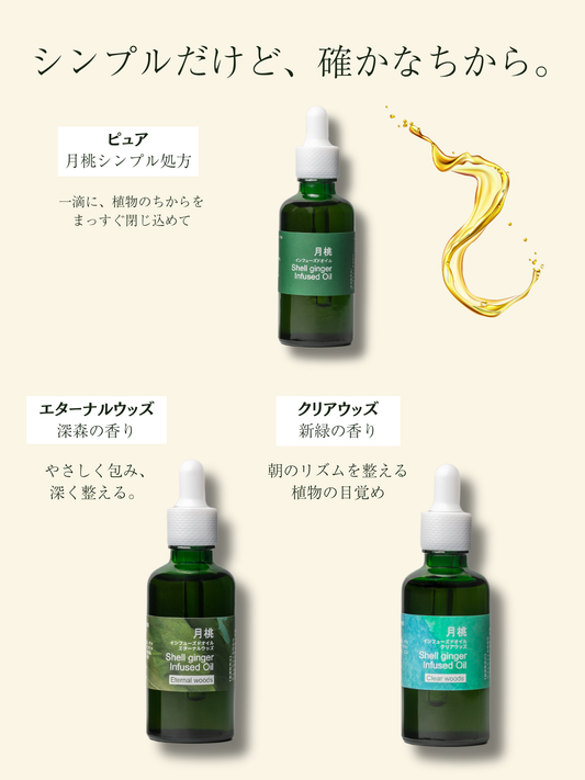 月桃インフューズドオイル　卸販売（仕入）
