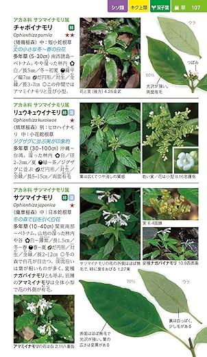 沖縄の身近な植物図鑑: 亜熱帯の雑草から庭の花、森の樹木やシダまで1000種（著者サイン付き）