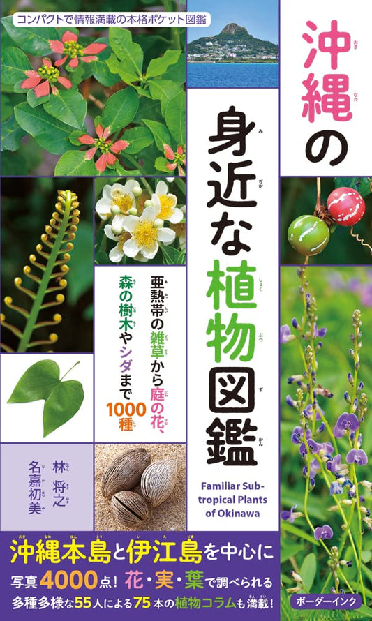 沖縄の身近な植物図鑑: 亜熱帯の雑草から庭の花、森の樹木やシダまで1000種（著者サイン付き）