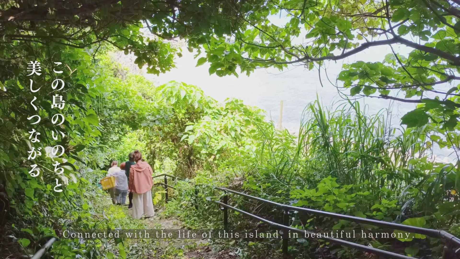 About Us｜naturalshop Yafa Yafa